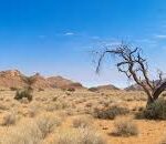 dry arid land